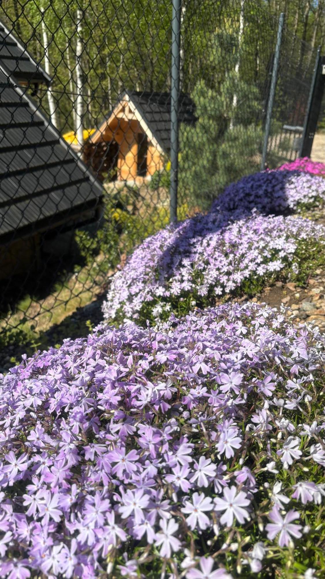 Apartament Hakerowka Szklarska Poreba Luaran gambar